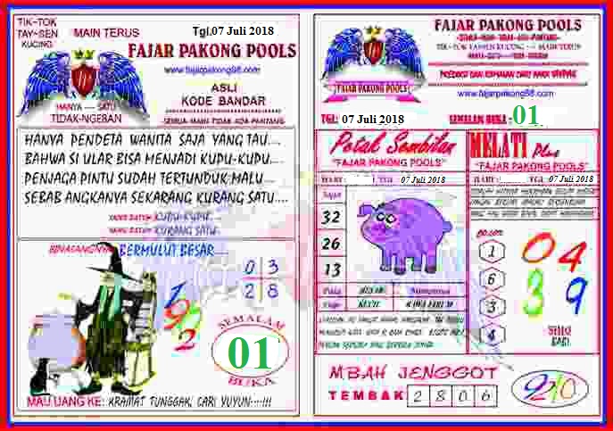 440 Koleksi Download Gambar Hewan Pakong Terbaru Gambar Hewan