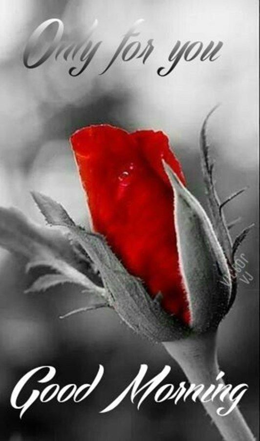 good morning sms with love