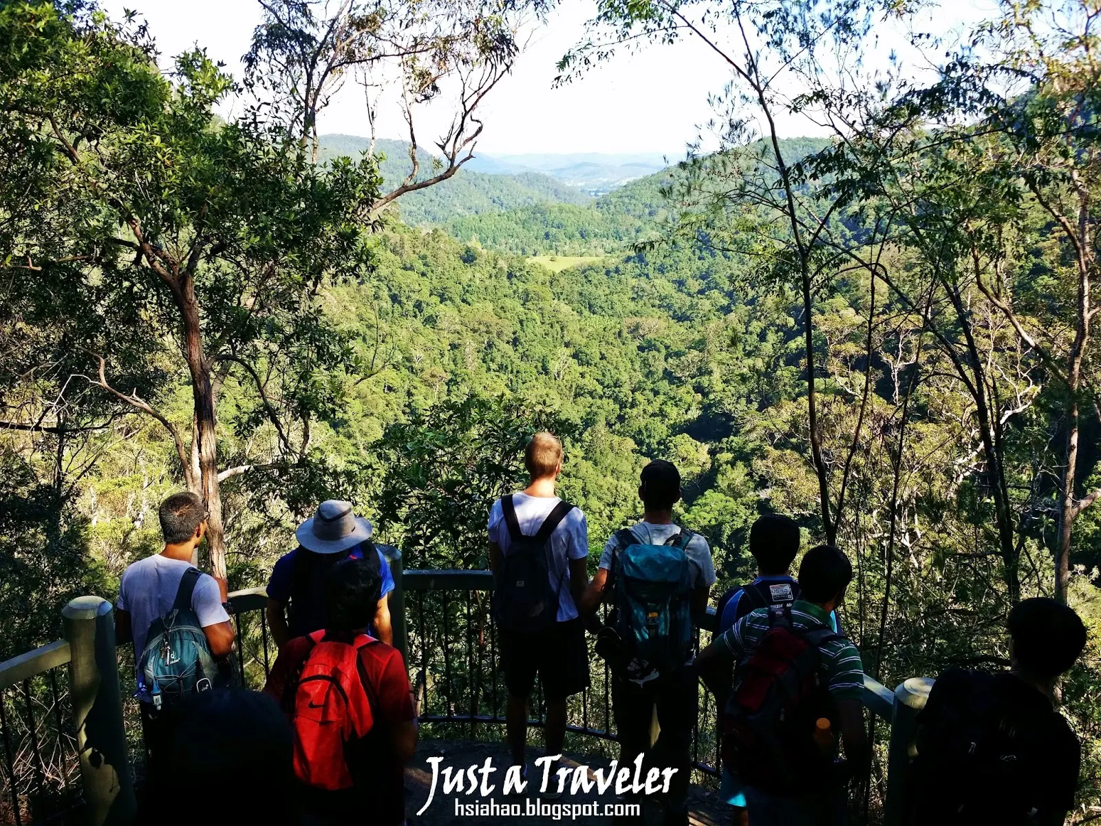 Go Hiking with QUT Hiking at Kondalilla National Park!