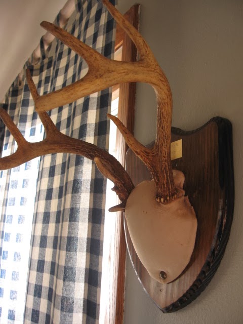 Tying Up Loose Ends In Search Of Antlers