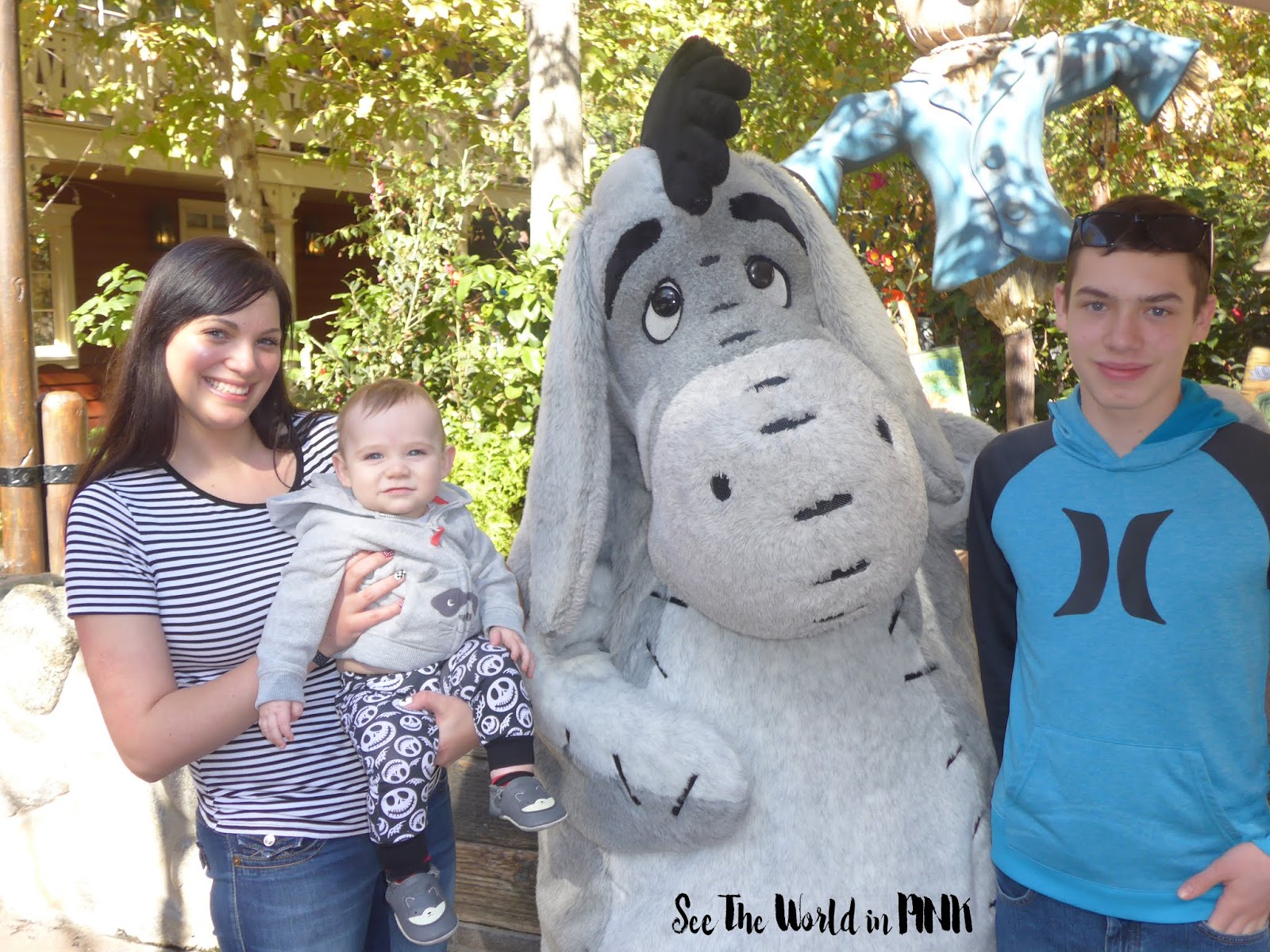Travel Post - Disneyland ~ Anaheim, California + tips for travelling with a big family and a baby under 1! 