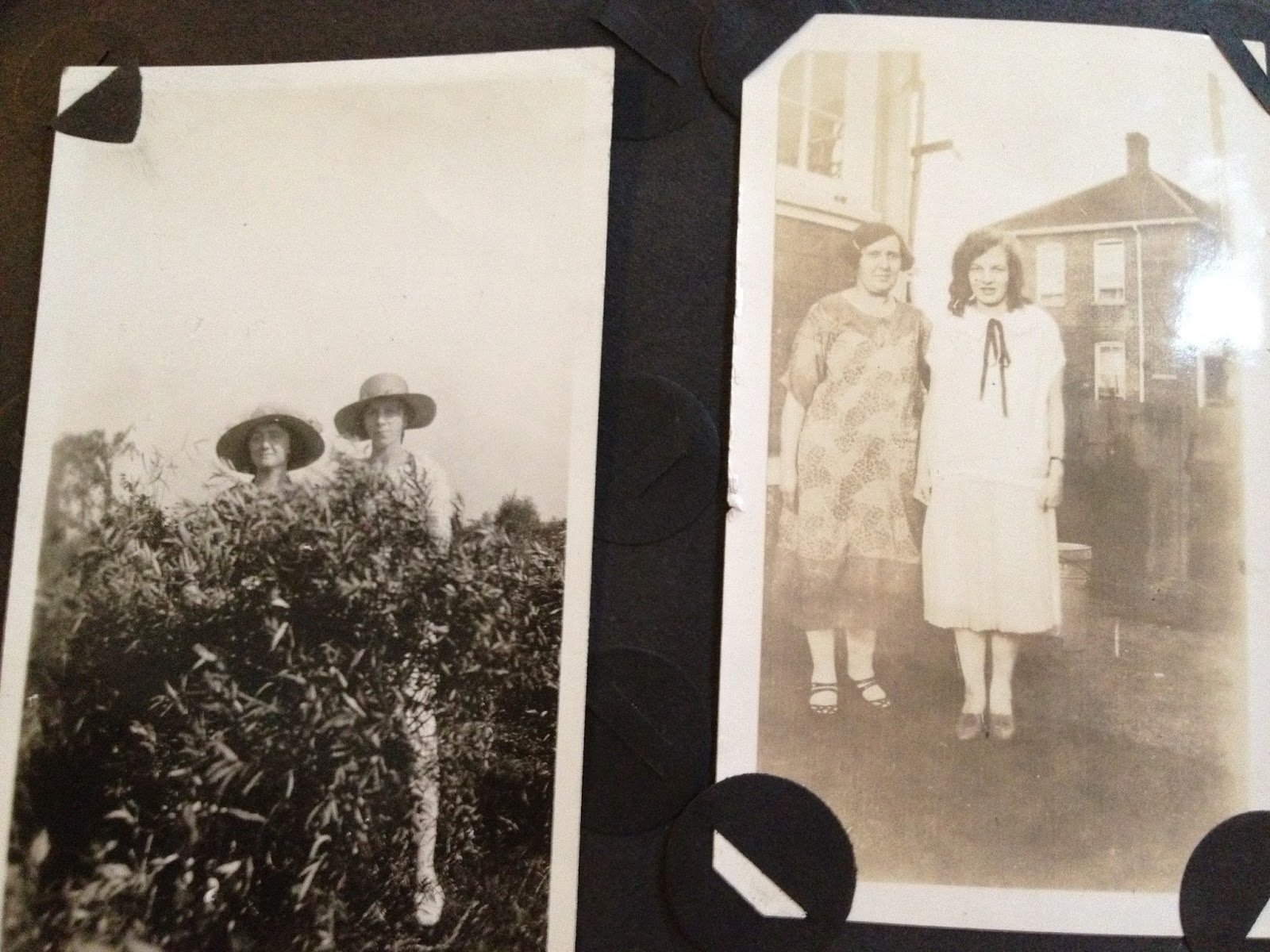 WW 1 Photo Album Archive page 25
