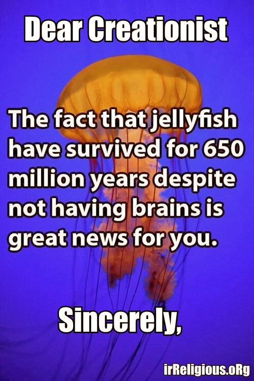 Funny Creationist Evolution Brain Meme - Dear Creationist.  The fact that jellyfish have survived for 650 million years despite not having brains is great news for you.