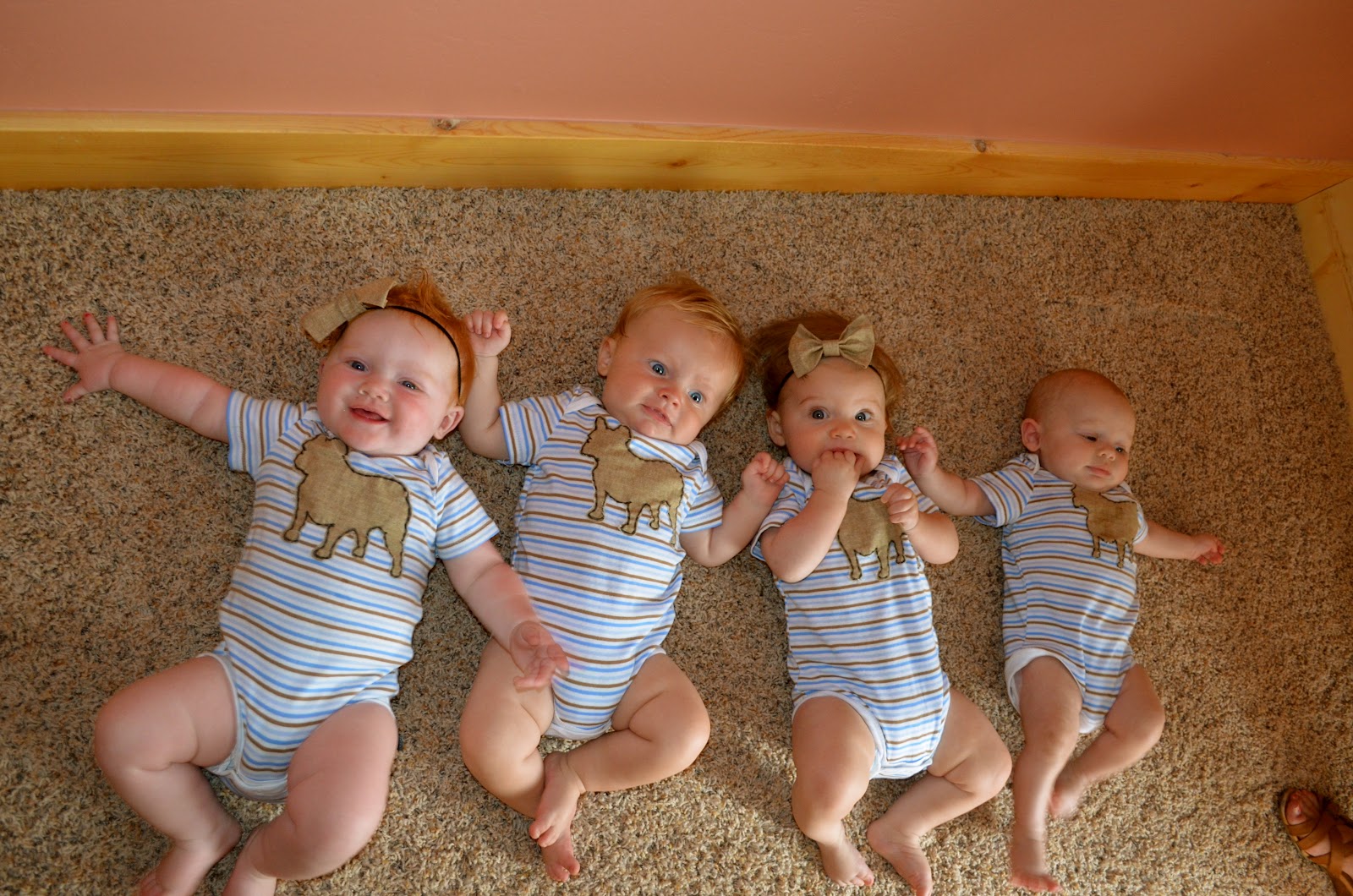 If I Had Quadruplets