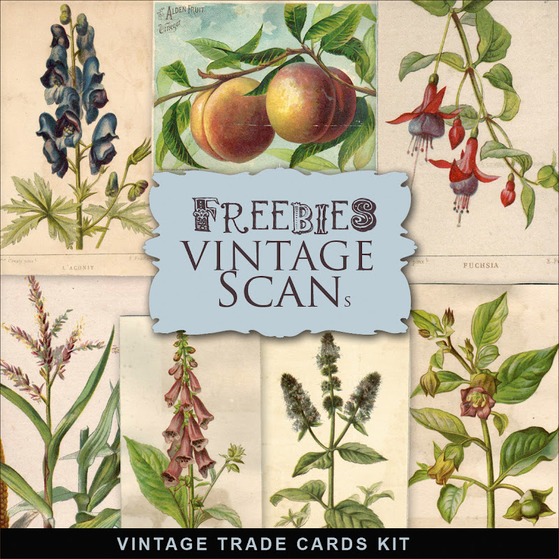 Freebies Vintage Trade Cards Kit:Far Far Hill - Free database of ...