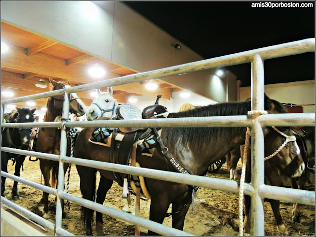 Fort Worth Stockyards Stables and Horseback Riding