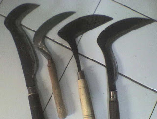 Alat Pertanian Cangkul atau Pacul.tipspetani http://tipspetani.blogspot.com/2016/11/tahapan-pemeliharaan-tanaman-padi.html