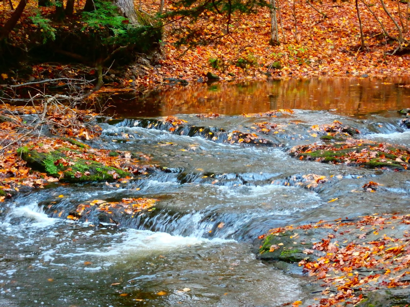 Walking Man 24 7 Fall at Schodack Town Park