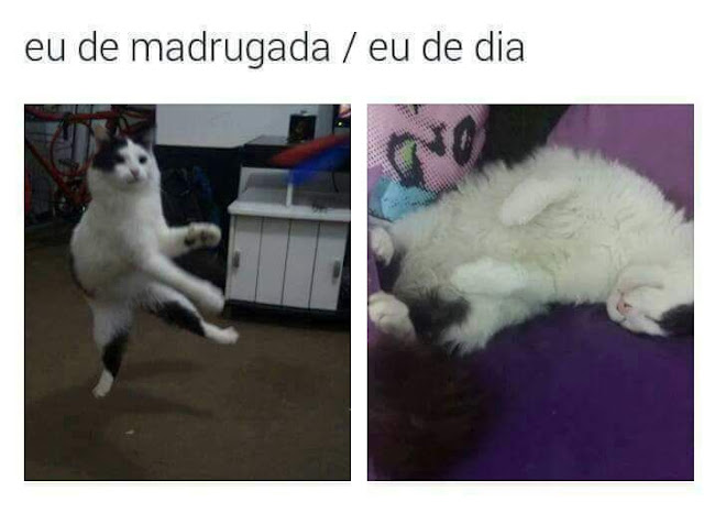 Memes engraçados Memes engraçados