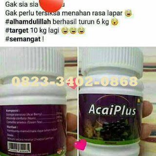 PELANGSING YANG AMAN ACAI PLUS AJA 082334020868 PELANGSING YANG AMAN ACAI PLUS AJA 082334020868