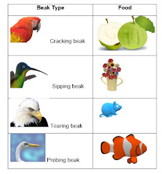 examples give each ncert