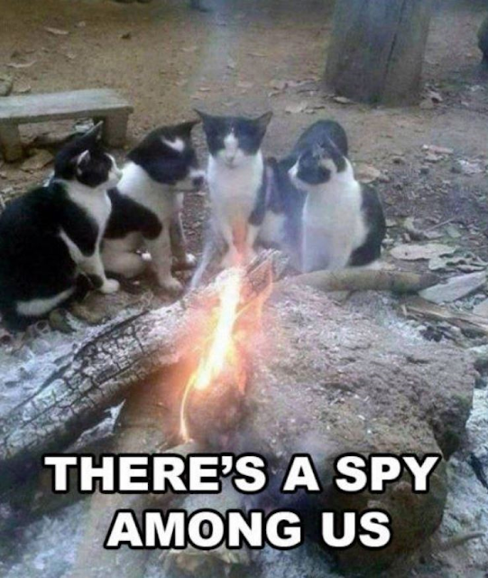 Security Memetics Itty bitty kitty committee has an insider threat