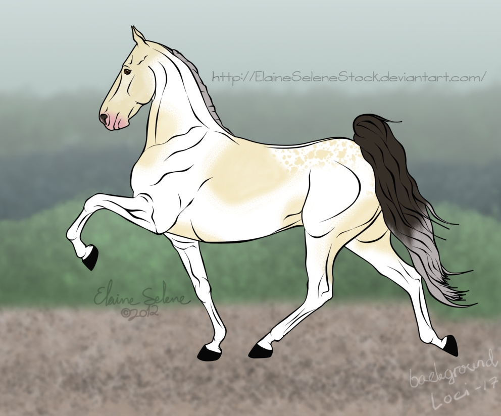 © Lineart ElaineSeleneStock, tausta Loci, väritys Nikki