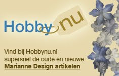 Logo Weblog Hobby Nu