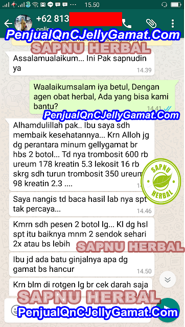 Gejala, Penyebab & Obat Infeksi Ginjal ( Pielonefritis ) Alami Terbukti Manjur Gejala, Penyebab & Obat Infeksi Ginjal ( Pielonefritis ) Alami Terbukti Manjur