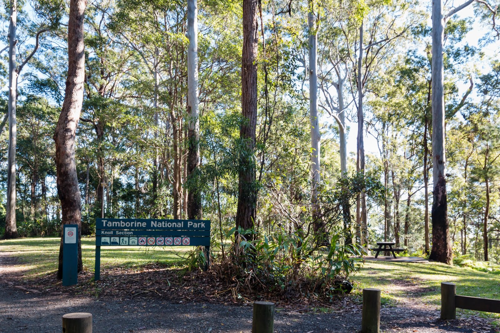 National Park Odyssey Tamborine Mountain, Tamborine National Park, QLD.