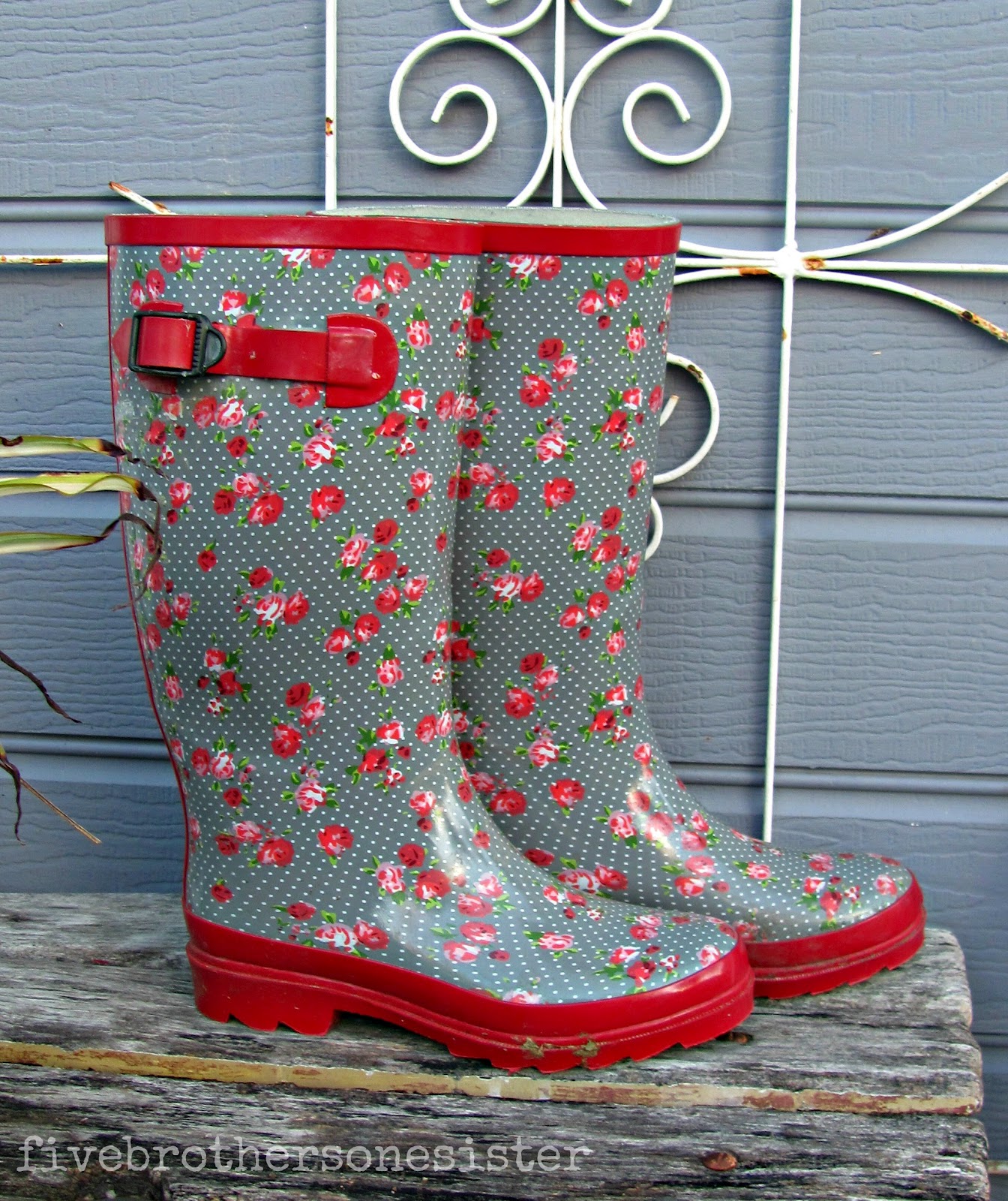gumboots with laces