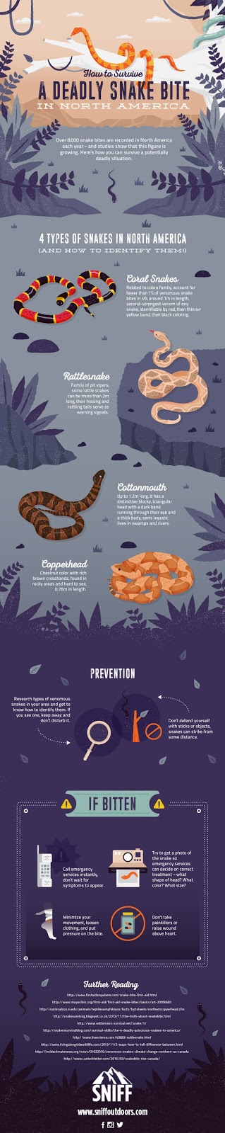 Snake Types, Bite Prevention and Treatment Snake Types, Bite Prevention and Treatment