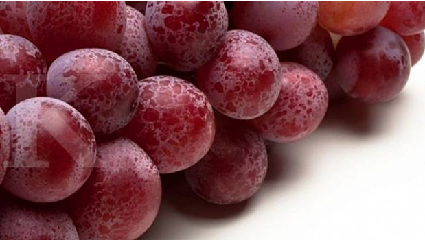 Wow Ini Dia Buah Yang Dijual Dengan Harga Paling Gila Termahal Di Dunia