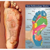 Here's Why, You Should Massage Your Feet Every Night Before Bed!