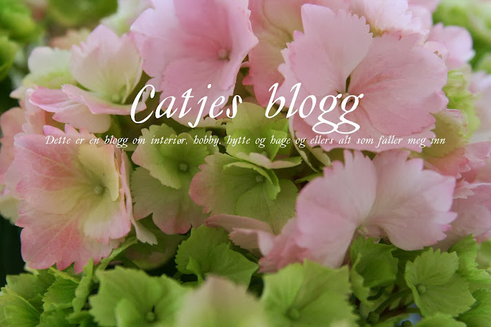 Catjes blogg