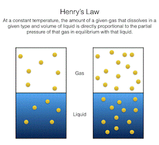Henry's Law