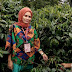 Mengenal Biji Kopi Malakaji - Kopi Terbaik daerah Selatan Sulawesi