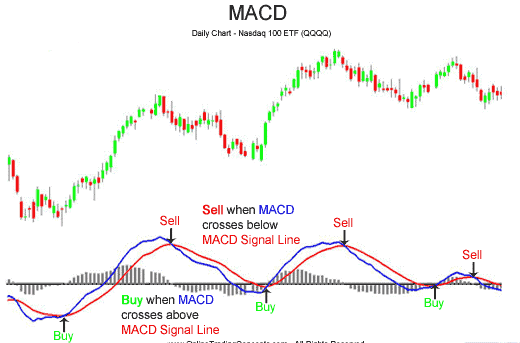 MACD Buy Sell Signal