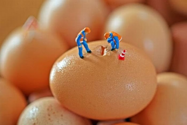 World Egg Day - Παγκόσμια Ημέρα Αβγού