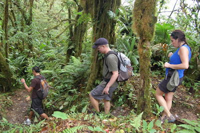 Senderismo por la selva en Costa Rica