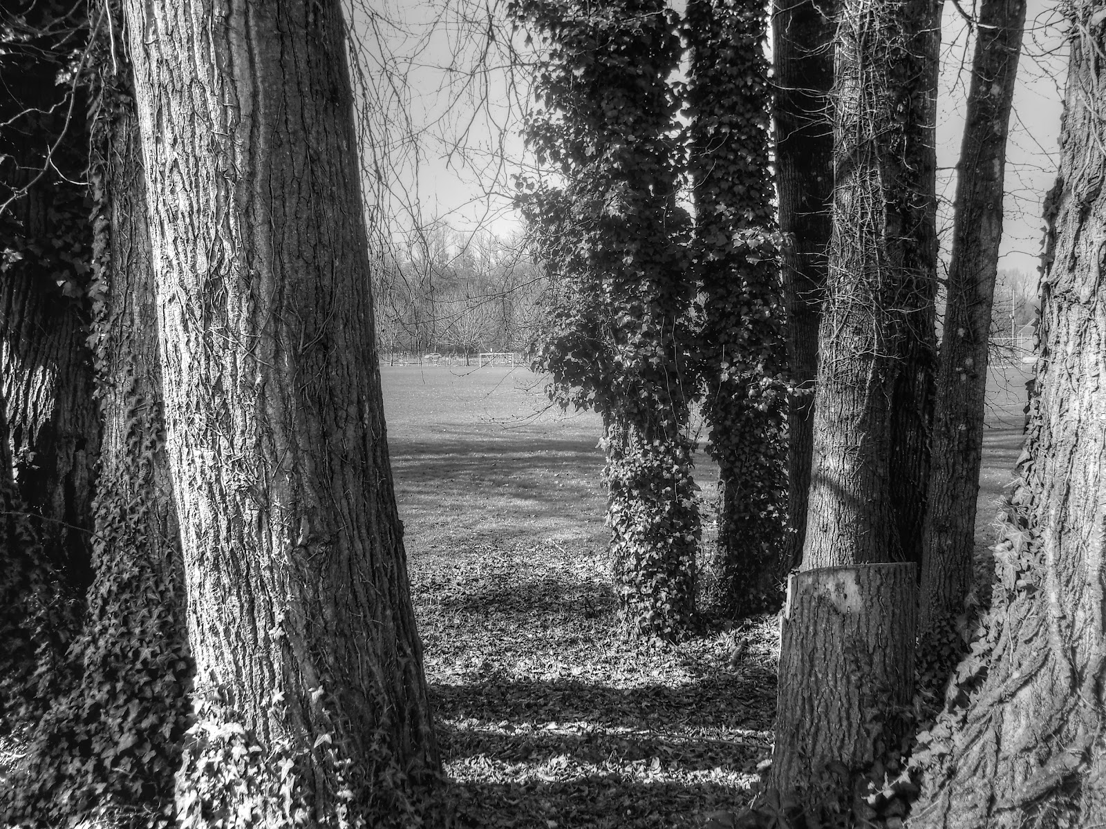 Thom Zehrfeld Photography : Meldrum Bar Park Thom Zehrfeld Photography : Meldrum Bar Park
