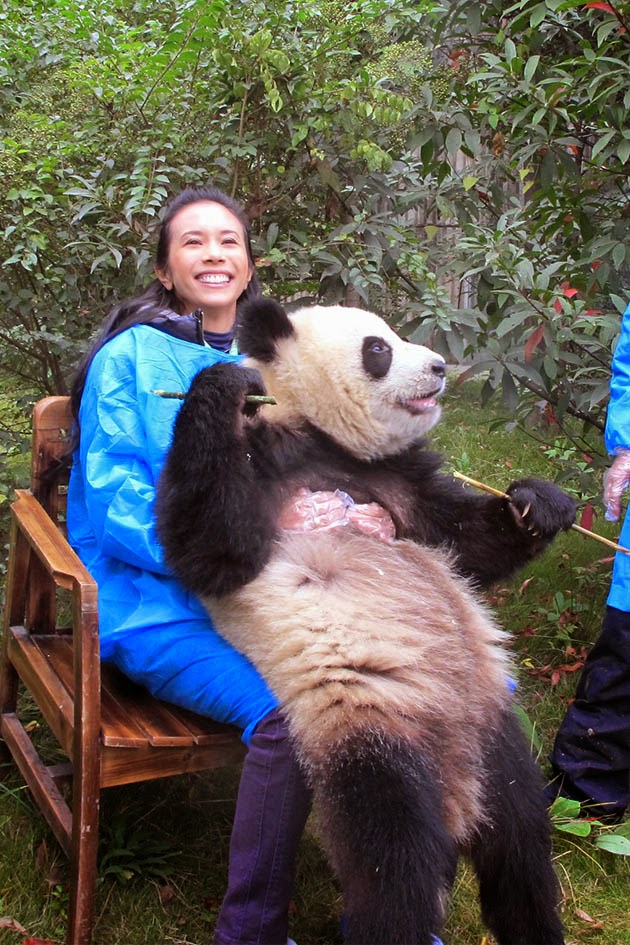 Asian E-News Portal: Karen Mok teaches the paper pandas on how to play ...