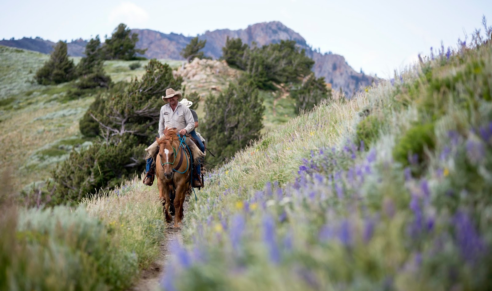 Benjamin Zack Photography Back Country Horsemen
