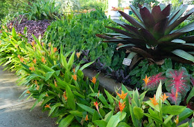 Brazilian Garden Naples Botanical Garden bromeliad bed by garden muses-a Toronto gardening blog