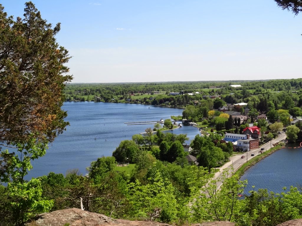 Red Cardinal ONTARIO ADVENTURES