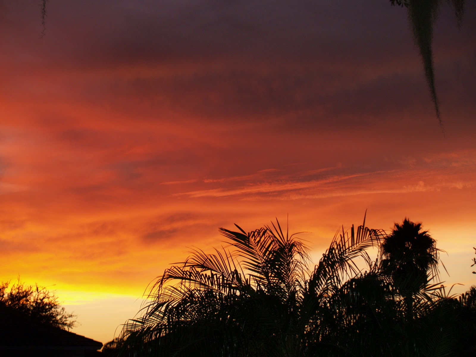 Venice florida real estate venice fl has gorgeous sunrises as well as