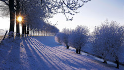 winter nature hd wallpapers desktop beauty season sunlight scenes background snow scenery landscape windows resolution natural nederland awesome neige netherlands