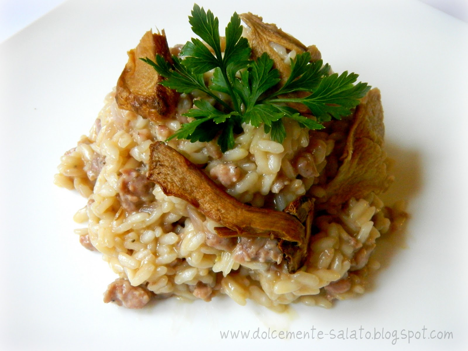 DOLCEmente SALATO Risotto al vino rosso con salsiccia e porcini