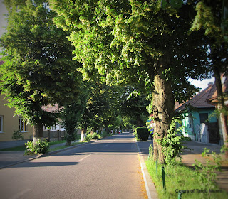 Strada Apaductului, Targu Mures
