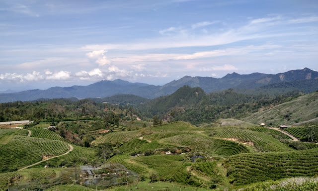 Malino Highlands - Malino Malino Highlands - Malino