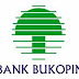 Lowongan Marketing Relationship di PT. Bank Bukopin Tbk - Penempatan Yogyakarta, Bantul, Sleman, Wates, Wonosari