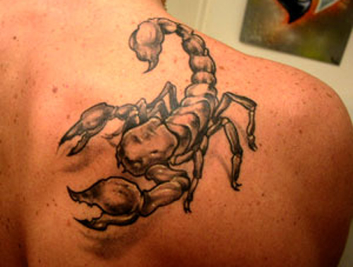 Tatuagem escorpião nas costas Diversas Tatuagem Feminina