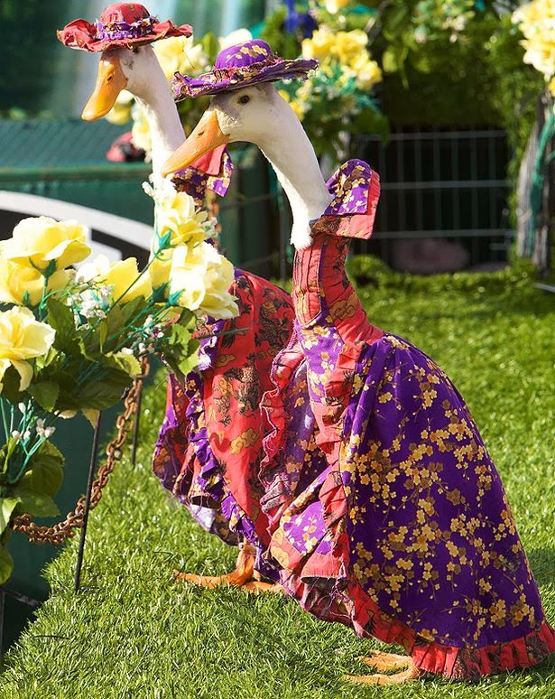FASHION WORLD Pied Piper Duck Fashion Show