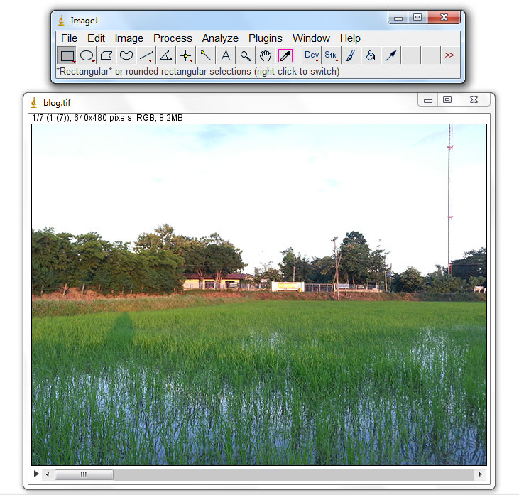 My imageJ เมนู Image with ImageJ [ตอนที่ 36] Stacks tools, จัดการกลับด้านของ slice ใน stack