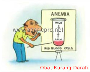 Obat Kurang Darah Yang Afdal Untuk Membuat Darah Kembali Normal Stabil Obat Kurang Darah Yang Afdal Untuk Membuat Darah Kembali Normal Stabil