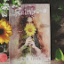Resenha | Rainbow, de M.S. Fayes