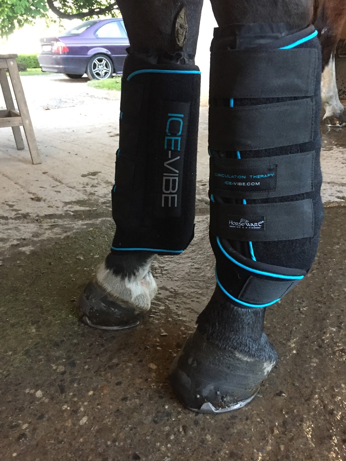 horseware ice vibe boots