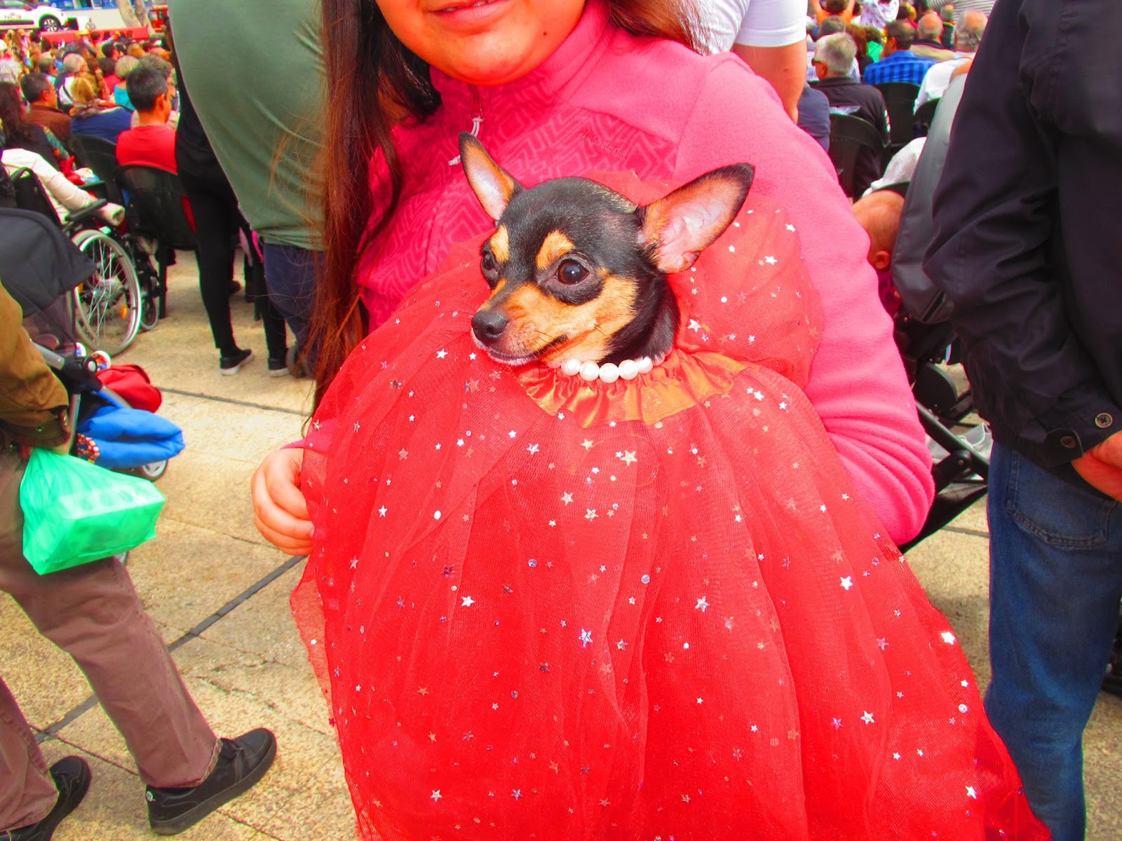 Eine Besonderheit in Maspalomas ist die Faschingswoche „ BEar CArnival