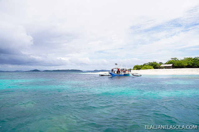 Coron | Calauit Safari Park & Pamalican Island (Natural Arts Travel and Tour) Palawan