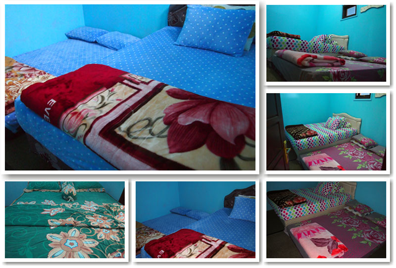 Homestay Murah di Sikunir Homestay Murah di Sikunir